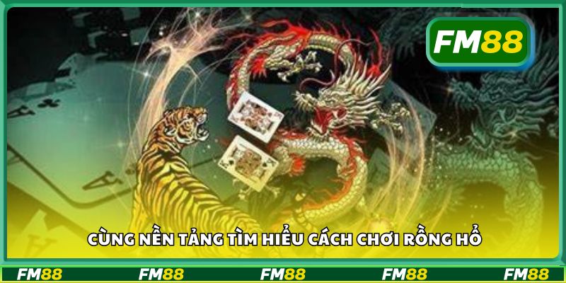 Cùng nền tảng tìm hiểu cách chơi Rồng Hổ