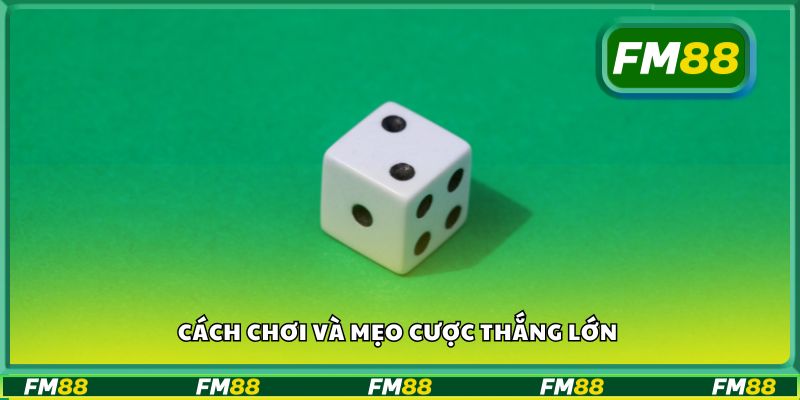 Cách chơi và mẹo cược thắng lớn